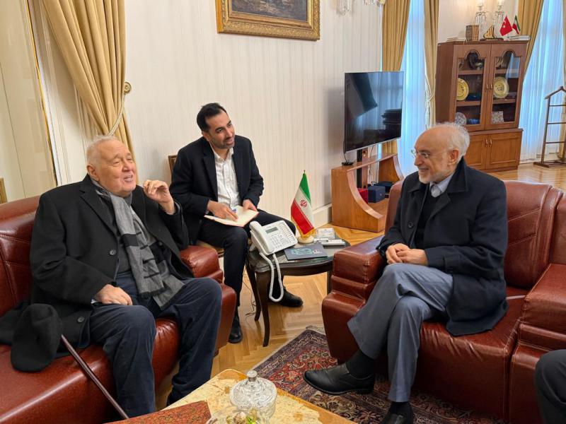 تقویت همکاری‌های علمی و فرهنگی ایران و ترکیه در دیدارهای رئیس بنیاد ایران‌شناسی با مقامات و اندیشمندان ترکیه