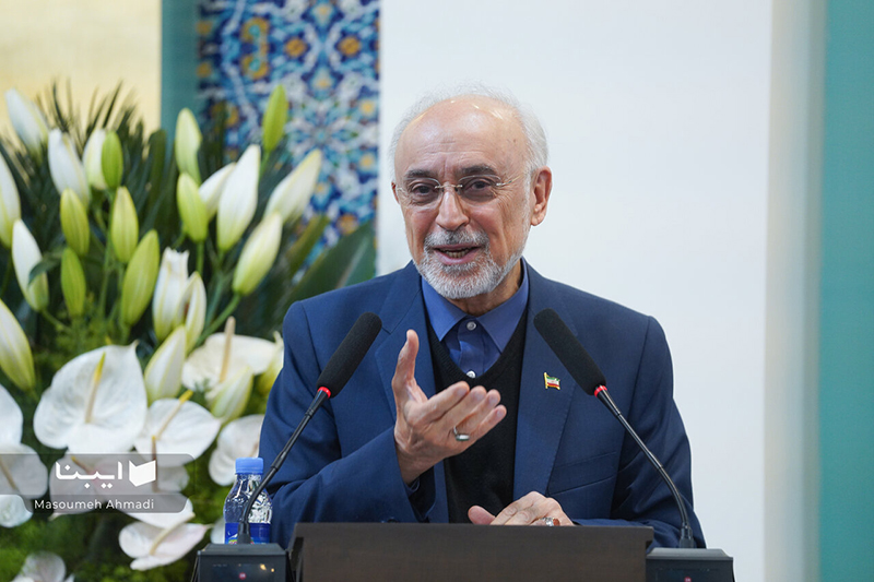 تأکید رئیس بنیاد ایران‌شناسی بر جایگاه امام محمد غزالی به‌عنوان پل میان عقل، اخلاق و دین